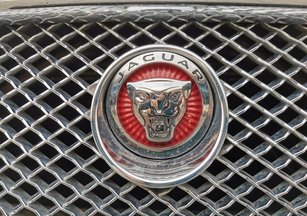 Jaguar XF cena 79900 przebieg: 125000, rok produkcji 2015 z Rzeszów małe 277